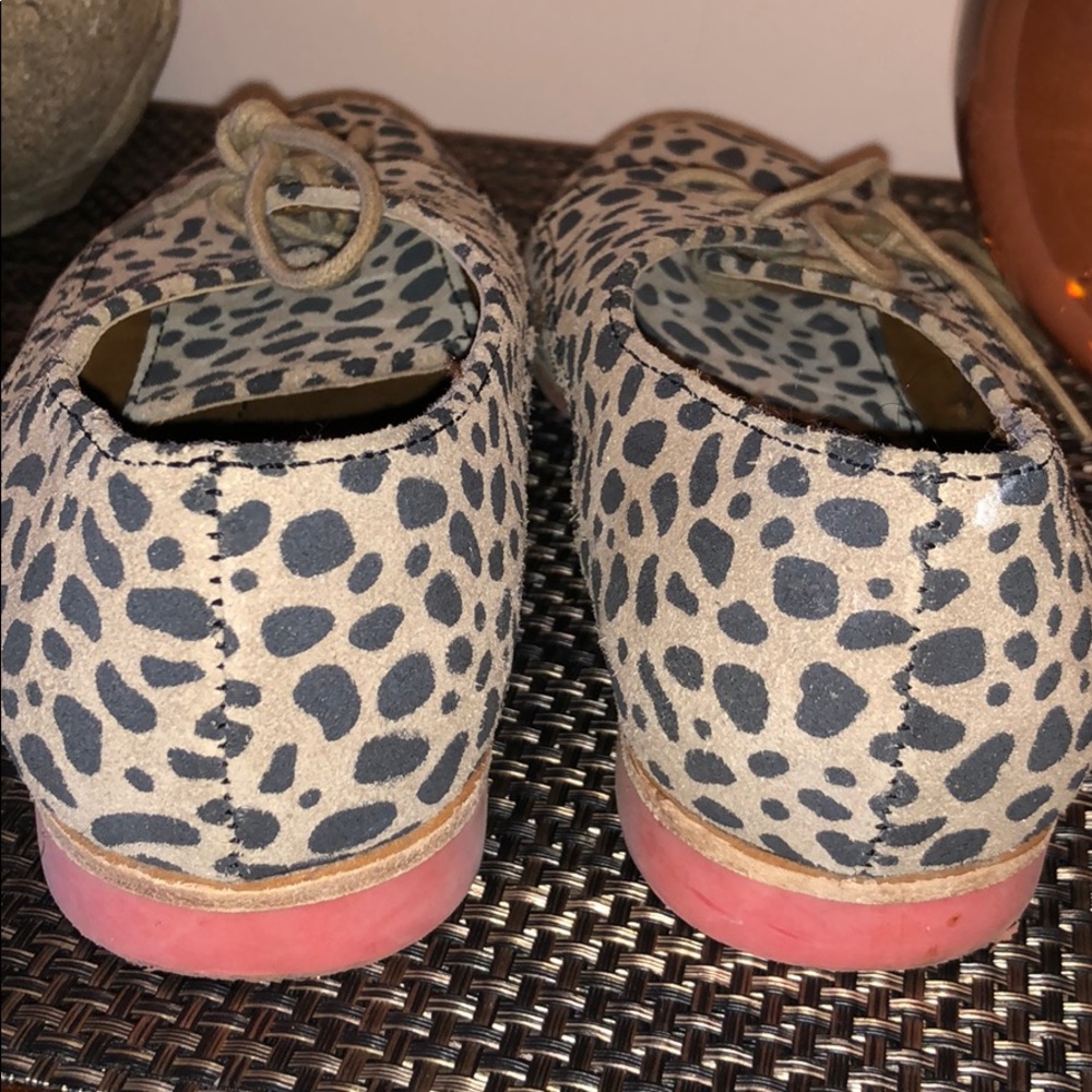 Cheetah Power! - Picture 5 of 7